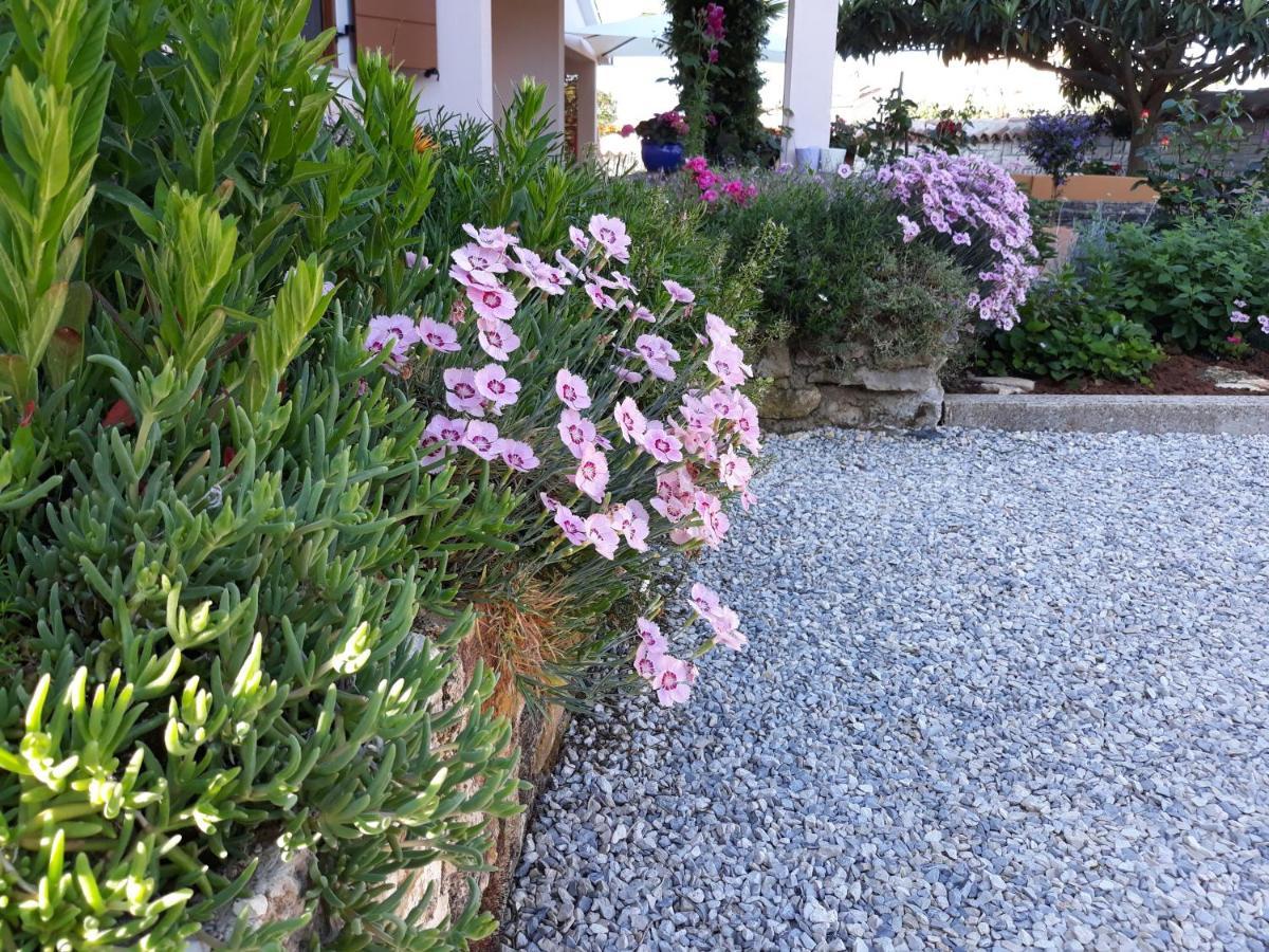 Apartment Bernarda