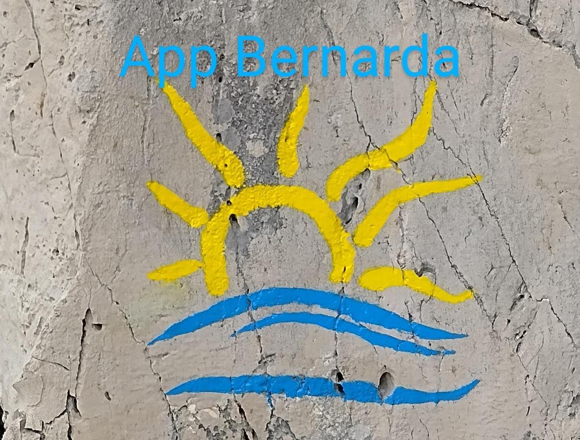 Apartment Bernarda